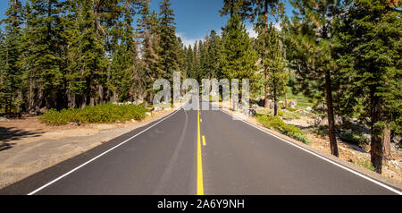 Schöne Straße zwischen dem Wald im Yosemite Nationalpark in Kalifornien. Stockfoto