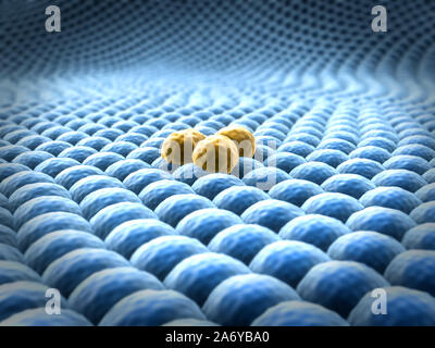 Vermehrung von Zellen, Mikroskopische Aufnahme von Zellen, Abteilung der Krebszelle Stockfoto