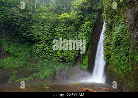 Indonesien, Bali, Mittelgebirge, Munduk, Wasserfall Stockfoto