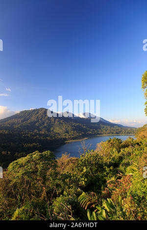 Indonesien, Bali, Mittelgebirge, Munduk, Danau Tablingan See Stockfoto