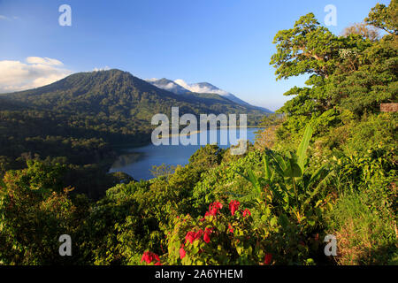 Indonesien, Bali, Mittelgebirge, Munduk, Danau Tablingan See Stockfoto