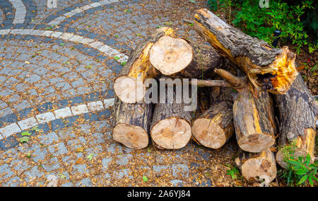 Stapel verarbeitet Brennholz auf Straße Steinboden, Herbst Wirkung Stockfoto