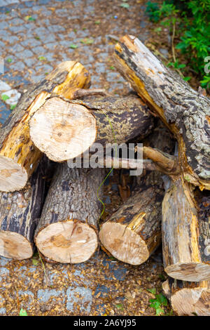 Stapel verarbeitet Brennholz auf Straße Steinboden, Herbst Wirkung Stockfoto