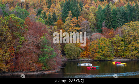 Herbst Farben in die Bäume und kleine Ruderboote auf dem Loch Faskally in Pitlochry in den Highlands von Schottland Stockfoto