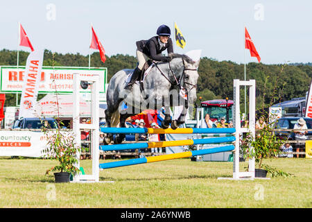 Vorne 3/4 Blick auf einen Reiter auf einem graues Pferd Clearing ein Sprung in einer Springprüfung Klasse bei der Frome Käse zeigen, 14. September 2019 Stockfoto