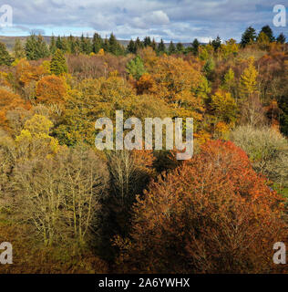 Milngavie, UK. 29 Okt, 2019. Antenne drone Ansicht der herbstlichen Sonne über Mugdock Country Park und Schloss, East Dunbartonshire. Credit: ALAN OLIVER/Alamy leben Nachrichten Stockfoto