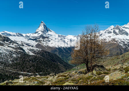 Panorama von Osten und Norden Gesichter des Matterhorns in Zermatt, Schweiz im Frühling. Stockfoto