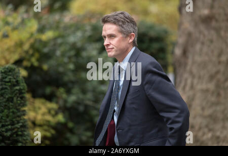 Downing Street, London, UK. 29. Oktober 2019. Gavin Williamson, der Staatssekretär für Bildung, in Downing Street für die wöchentliche Kabinettssitzung. Eine allgemeine Wahl Datum der 12. Dezember ist im Laufe des Tages bekannt gegeben. Credit: Malcolm Park/Alamy Leben Nachrichten. Stockfoto