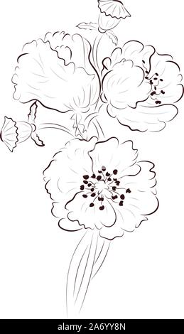 Handzeichnung poppy flower, Simple Line Art Abbildung. Stock Vektor