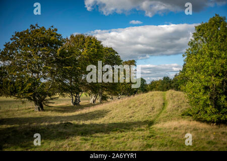 Der neue König Schubkarren in Stonehenge, Salisbury, Wiltshire, UK Stockfoto