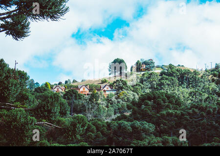 Campos do Jordao Hügel Stockfoto
