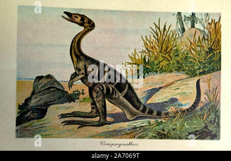 Jahrgang Illustration einer ausgestorbenen Tier Stockfoto