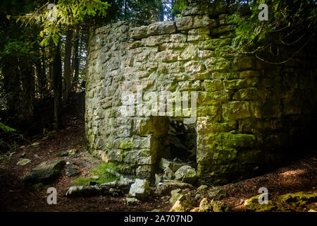 Historische Brennofen Ruinen im Wald an Toft Punkt in Door County, Wisconsin Stockfoto