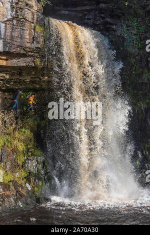 Der Fluss Twiss purzelt die Ingleton Wasserfälle Trail in North Yorkshire. Thornton Kraft. Die ingleton Glens sind Sssi. Stockfoto