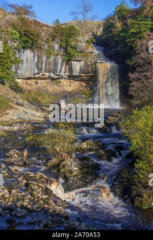 Der Fluss Twiss purzelt die Ingleton Wasserfälle Trail in North Yorkshire. Thornton Kraft. Die ingleton Glens sind Sssi. Stockfoto