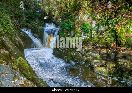 Der Fluss Twiss purzelt die Ingleton Wasserfälle Trail in North Yorkshire. Pecca fällt. Die ingleton Glens sind Sssi. Stockfoto