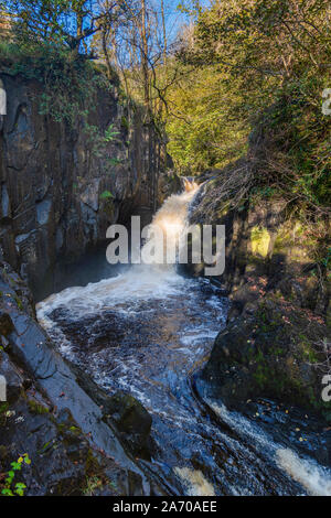 Der Fluss Twiss purzelt die Ingleton Wasserfälle Trail in North Yorkshire. Pecca fällt. Die ingleton Glens sind Sssi. Stockfoto