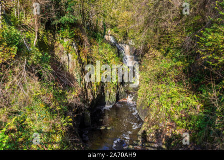 Der Fluss Twiss purzelt die Ingleton Wasserfälle Trail in North Yorkshire. Pecca fällt. Die ingleton Glens sind Sssi. Stockfoto