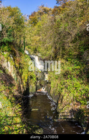 Der Fluss Twiss purzelt die Ingleton Wasserfälle Trail in North Yorkshire. Pecca fällt. Die ingleton Glens sind Sssi. Stockfoto