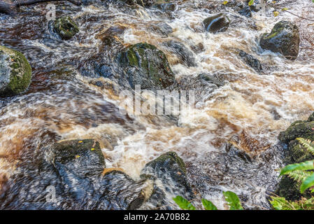 Der Fluss Twiss purzelt die Ingleton Wasserfälle Trail in North Yorkshire. Pecca fällt. Die ingleton Glens sind Sssi. Stockfoto