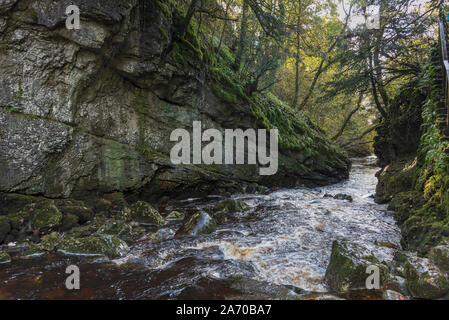 Der Fluss Twiss purzelt die Ingleton Wasserfälle Trail in North Yorkshire. Pecca fällt. Die ingleton Glens sind Sssi. Stockfoto