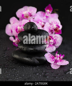 Balance zen Steine und Orchideenblüten auf nassen Hintergrund Stockfoto