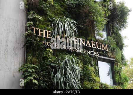 Vertikaler Garten umgibt das Athenaeum Hotel und Residences Mayfair, Beschilderung, Wohngarten an der Wand, Piccadilly, London, SW1, Außenansicht Stockfoto