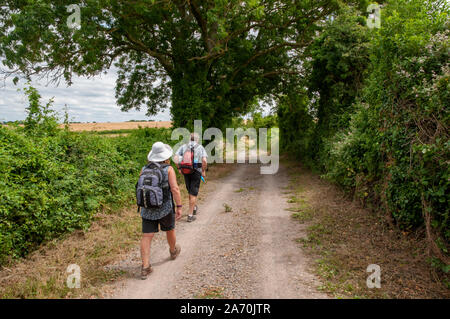 Zwei Wanderer zu Fuß entlang der South Downs Way in der Landschaft in der Nähe von Winchester in Hampshire, England. Stockfoto