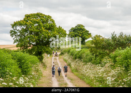 Eine Gruppe von Wanderern zu Fuß entlang der South Downs Way in der Landschaft in der Nähe von Winchester in Hampshire, England. Stockfoto