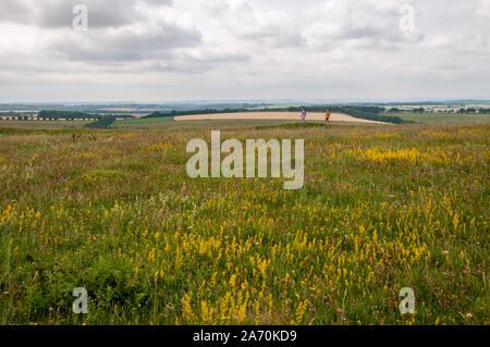 Ein Mann und eine Frau gehen auf den Wiesen in der Nähe von Old Winchester Hills mit Blick auf die Landschaft in Richtung Küste in Hampshire, England. Stockfoto