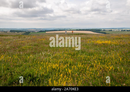 Ein Mann und eine Frau gehen auf den Wiesen in der Nähe von Old Winchester Hills mit Blick auf die Landschaft in Richtung Küste in Hampshire, England. Stockfoto