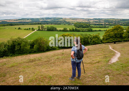 Im mittleren Alter weiblich Rambler angehalten, die Aussicht auf die Landschaft von Hampshire entlang der South Downs Way östlich von Winchester, England zu bewundern. Stockfoto