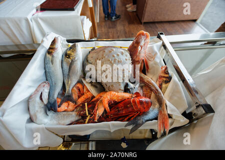 Frischer Fisch Anzeige Tabelle mit knurrhahn Fisch, Riesengarnelen, Seeteufel, Hummer, Wolfsbarsch und Goldbrasse Fische in einem Restaurant unter der Galatabrücke. Stockfoto