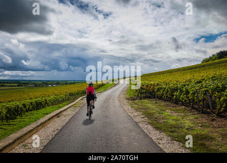 Reife weibliche Radfahrer reiten die grüne Route durch die Côte de Beaune, Burgund, Frankreich. Stockfoto