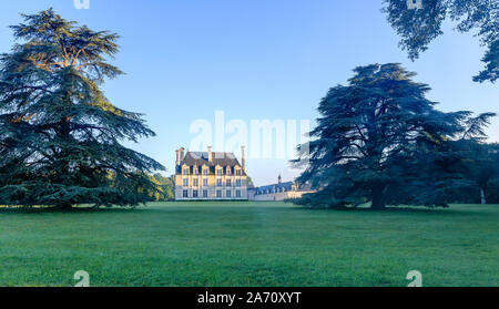 Frankreich, Loir et Cher, Tal der Loire, Weltkulturerbe der UNESCO, Cellettes, Chateau de Beauregard, Park und Gärten aufgeführt, Bicentennial Zedern (Cedrus Stockfoto