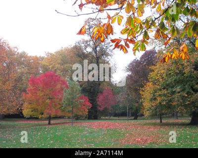 London, Großbritannien. 28 Okt, 2019. Bäume im Londoner Hyde Park geben einige echte Farben des Herbstes zu den berühmtesten offenen Raum der Hauptstadt. Credit: Keith Mayhew/SOPA Images/ZUMA Draht/Alamy leben Nachrichten Stockfoto