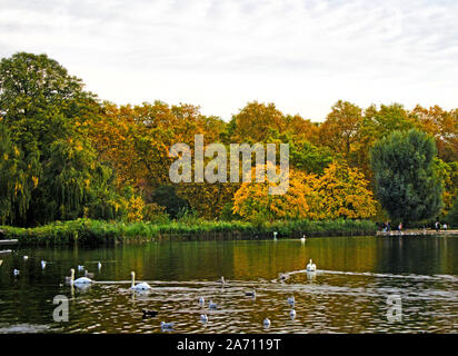 London, Großbritannien. 28 Okt, 2019. Wilde Vögel auf dem Serpentine Lake mit einem Hintergrund von Bäumen im Londoner Hyde Park, einige echte Farben des Herbstes zu den berühmtesten offenen Raum der Hauptstadt geben. Credit: Keith Mayhew/SOPA Images/ZUMA Draht/Alamy leben Nachrichten Stockfoto