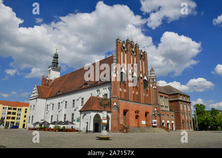 Altes Rathaus, Marktplatz, Frankfurt/Oder, Brandenburg, Deutschland Stockfoto