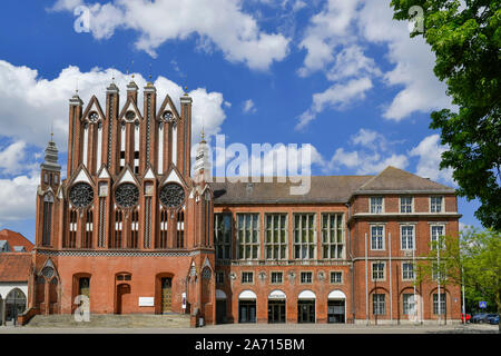 Altes Rathaus, Marktplatz, Frankfurt/Oder, Brandenburg, Deutschland Stockfoto