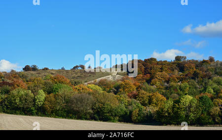Blick auf Whiteleaf Kreuz aus über die Felder im Herbst. Princes Risborough, Buckinghamshire, Großbritannien. Chilterns Stockfoto