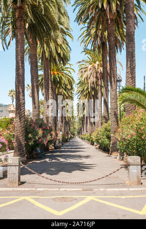 Sidewalk Gehweg unter Palmen - Palm Tree Gasse weg - Stockfoto