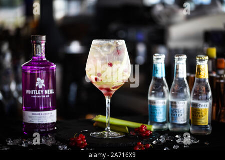 Tonic Gin mit frischen Rhabarber und Rotbeeren Stockfoto