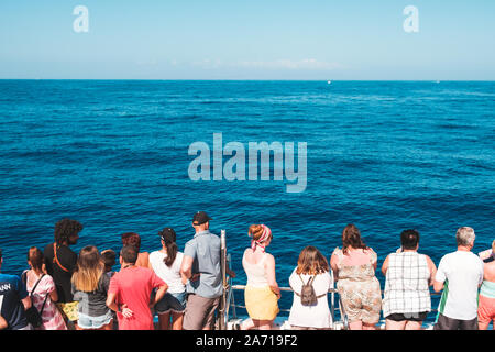 Teneriffa, Spanien - August 2019: Gruppe von Menschen auf dem Boot von hinten Blick auf Ozean auf eine Whale Watching Tour Stockfoto