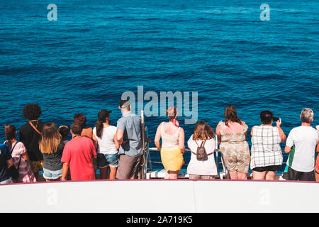 Teneriffa, Spanien - August 2019: Gruppe von Menschen auf dem Boot von hinten Blick auf Ozean auf eine Whale Watching Tour Stockfoto