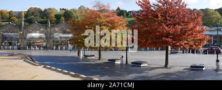 Bäume im Herbst Farben außerhalb des Bahnhofs in Sheffield, Yorkshire England Stockfoto