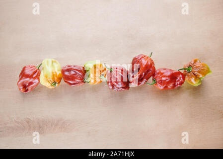 Red Hot Chili Scotch Bonnet Karibik Antillais auf hölzernen Hintergrund bunte in einer Reihe Stockfoto