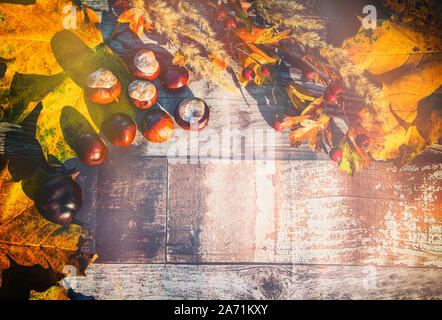 Herbst Hintergrund mit Kastanien, bunte Blätter und Beeren auf einem Holzboden. Stockfoto