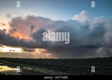 Winterliche Dusche bewegt sich über den weiten, offenen niederländische Landschaft im westlichen Teil des Landes bei Sonnenuntergang Stockfoto