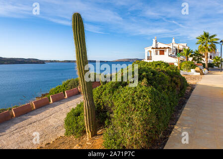 Insel Menorca in Spanien - typische Landschaft mit tropischen Pflanzen und Sommer Villen am Meer Stockfoto