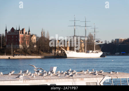 Historisches Denkmal und großen Segelboot auf dem Hintergrund mit Möwen, die die Sonne auf einem Boot Dach in Stockholm, Schweden 2019 Stockfoto